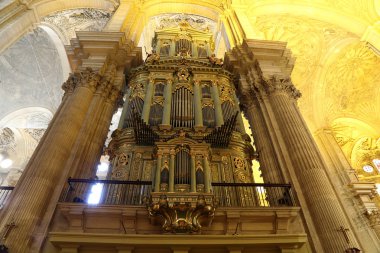Malaga--iç katedral malaga şehir, Endülüs, Güney İspanya Rönesans bir kilise var. 1528-1782 arasında inşa edilmiş, onun iç da Rönesans tarzında