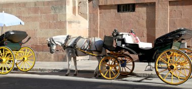 Andalusia, Güney İspanya bekleyen Malaga Malaga Katedrali, önünde yolcu taşıma