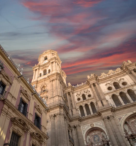 Кафедральный собор Малаги - это церковь эпохи Возрождения в городе Малага, Андалусия, Южная Испания — стоковое фото