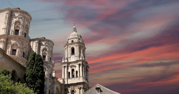 Cattedrale di Malaga è una chiesa rinascimentale nella città di Malaga, Andalusia, Spagna meridionale — Foto Stock