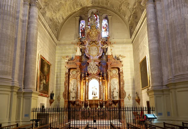 The interior Cathedral of Malaga-is a Renaissance church in the city of Malaga, Andalusia, southern Spain. Он был построен между 1528 и 1782 годами, его интерьер также в стиле ренессанса — стоковое фото