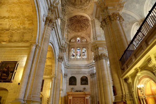 The interior Cathedral of Malaga--is a Renaissance church in the city of Malaga, Andalusia, southern Spain. It was constructed between 1528 and 1782, its interior is also in Renaissance style — Stock Photo, Image