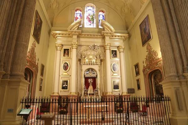 Interiör katedralen i malaga--är en renässans kyrka i staden malaga, Andalusien, södra Spanien. Det byggdes mellan 1528 och 1782, interiören är också i renässansstil — Stockfoto
