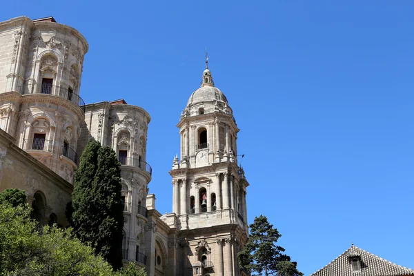 Καθεδρικό ναό της Μάλαγα--είναι μια αναγεννησιακή εκκλησία στην πόλη της Μάλαγα, Ανδαλουσία, νότια Ισπανία — Φωτογραφία Αρχείου