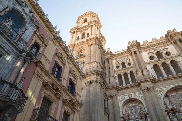 Malaga-székesegyház pedig egy reneszánsz templom a város malaga, Andalúzia, Dél-Spanyolországban — Stock Fotó