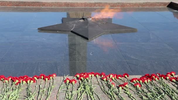 Eternal Flame en Victory Park en Poklonnaya Hill, Moscú, Rusia. El complejo conmemorativo construido en memoria de aquellos que murieron durante la Gran Guerra Patriótica — Vídeos de Stock