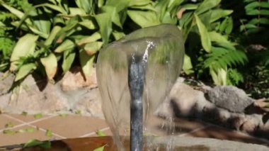 Küçük bir çeşmeden su dökülen. Portre