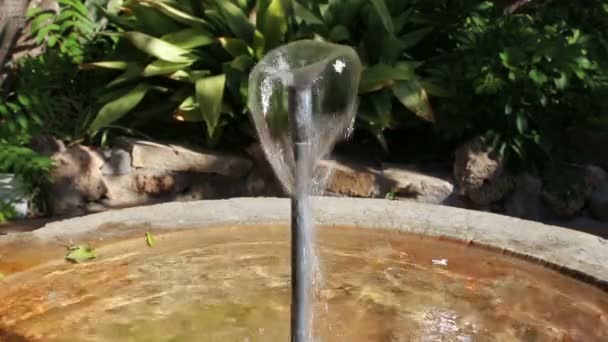 Voda se nalévá z malé fontány. Closeup — Stock video
