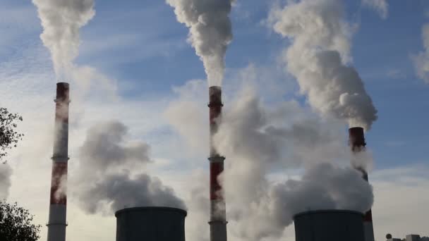 Дымовые трубы на угольной электростанции — стоковое видео