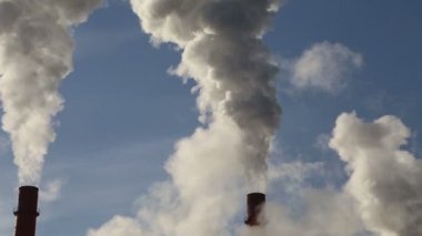 Santral yanan kömür yığında duman