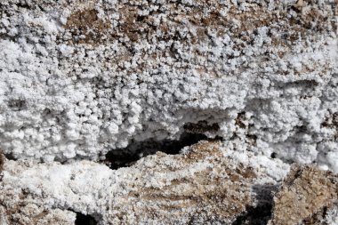 Dead Sea, Jordan sahilinde tuz kristallendirme