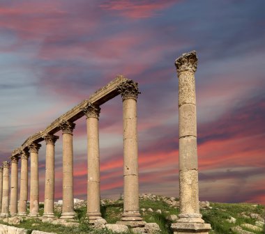 rzymskie kolumny w Jordanii miasta jerash (Gerazie starożytności), stolica i największe miasto guberni jerash, jordan