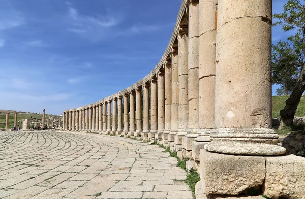 Forum (Oval Plaza) en Gerasa (Jerash), Jordania . —  Fotos de Stock