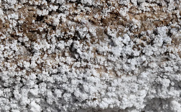 Salt crystallisation at coast of the Dead Sea, Jordan — Stock Photo, Image