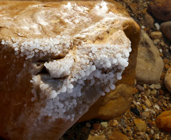 Salt crystallisation at coast of the Dead Sea, Jordan — Stock Photo, Image