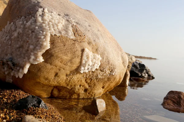 Zout kristallisatie aan kust van de dode zee, Jordan — Stockfoto