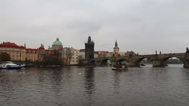 Вид на город с реки Влтава, Чехия — стоковое видео