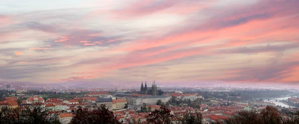 View of Prague Castle and St.Vitus cathedral from Petrin hill, , Czech Republic — Stock Photo, Image