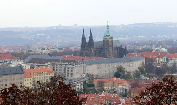 Utsikt över Pragborgen och St.Vitus katedral från Petřín, Tjeckien — Stockfoto