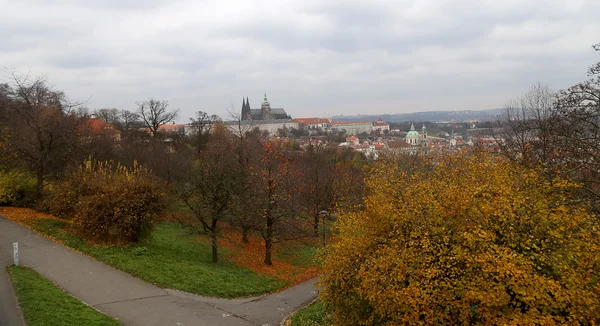 Uitzicht op de Praagse burcht en St.Vitus kathedraal vanaf Petrin-heuvel, Tsjechië — Stockfoto