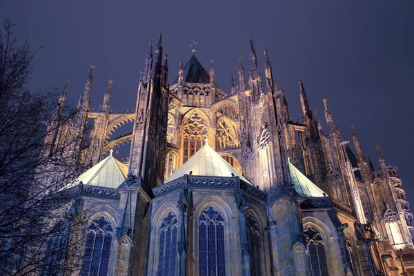 St. Vitus Cathedral (Katedra rzymsko-katolicka) w Zamku Praskiego — Zdjęcie stockowe