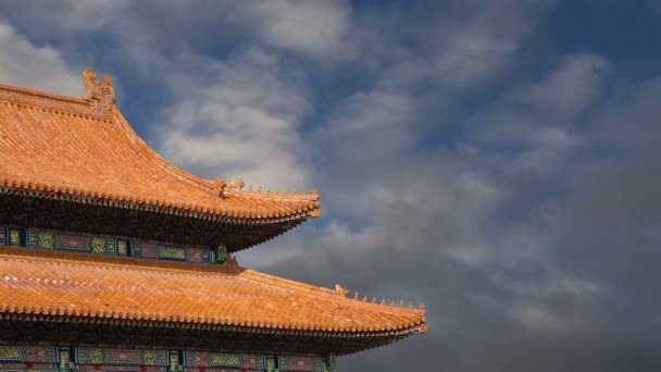 青铜大碗里，与图像中国龙雕像在紫禁城灭火。北京中国 — 图库视频影像