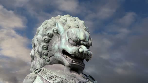 Bronze Guardian Lion Statue in the Forbidden City, Beijing, China — Stock Video