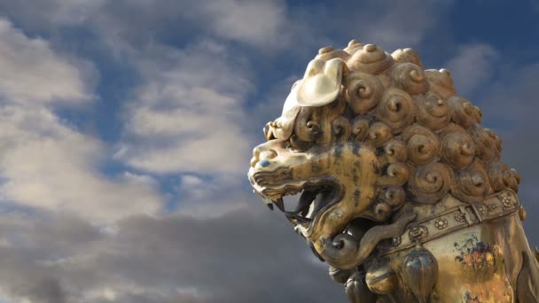 Egy bronz kínai sárkány szobor, a tiltott város. Beijing, Kína — Stock videók