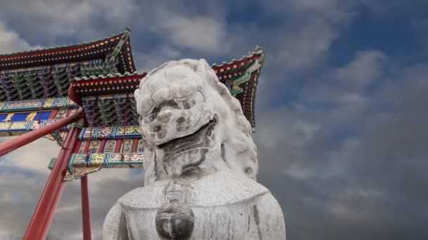 Steen hoedster Leeuw standbeeld in beihai park--is een keizerlijke tuin in het noordwesten van de verboden stad in Peking, china — Stockvideo