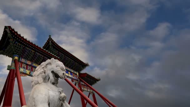 Stone Guardian Lion Statue in Beihai Park es un jardín imperial al noroeste de la Ciudad Prohibida en Beijing, China. — Vídeos de Stock