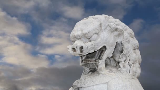 Stone Guardian Lion Statue in Beihai Park es un jardín imperial al noroeste de la Ciudad Prohibida en Beijing, China. — Vídeos de Stock