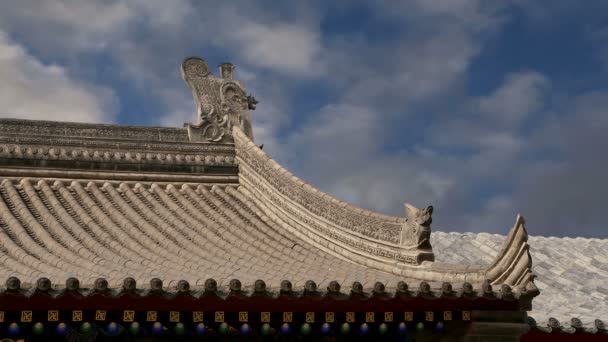 Roof decorations on the territory Giant Wild Goose Pagoda, is a Buddhist pagoda located in southern Xian (Sian, Xi'an), Shaanxi province, China — Stock Video