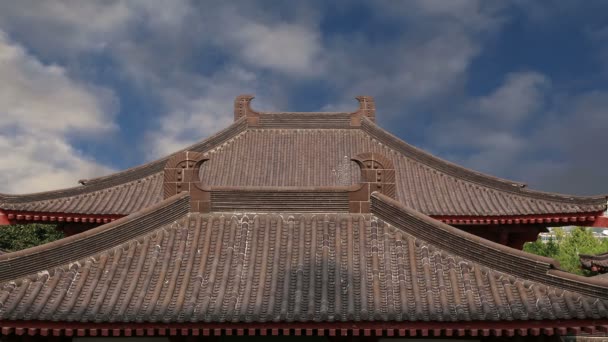 Roof decorations on the territory Giant Wild Goose Pagoda, is a Buddhist pagoda located in southern Xian (Sian, Xi'an), Shaanxi province, China — Stock Video