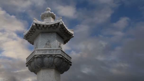 Op het grondgebied reus wilde gans pagode of big wild goose pagoda, is dat een boeddhistische Pagode gelegen in zuidelijk xian (sian, xi'an), provincie shaanxi, china — Stockvideo