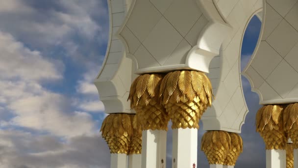 Mezquita blanca Abu Dhabi Sheikh Zayed en los Emiratos Árabes Unidos — Vídeo de stock