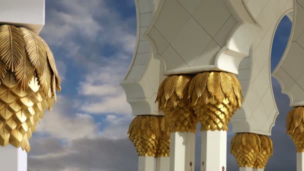 Abu Dhabi Sheikh Zayed Moschea Bianca negli Emirati Arabi Uniti — Video Stock