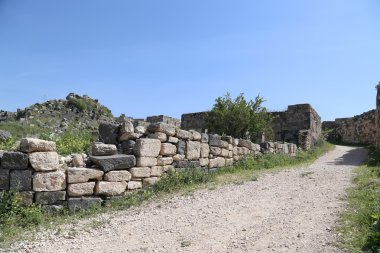 Roma kalıntıları um Birol (um qays)--gadara antik kent sitesi yakınındaki kuzey Ürdün'de bir şehir. Um qais jordan'ın en eşsiz Yunan Roma decapolis sitelerinden biridir