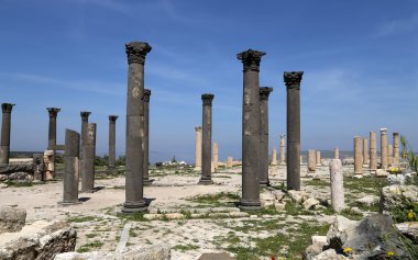 Roma Korint sütun um Birol (um Qays)--Gadara antik kent sitesi yakınındaki kuzey Jordan bir kasabadır. Um Qais Jordan'ın en eşsiz Greco Roma Decapolis sitelerinden biridir