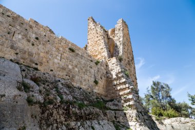 Ayyubid kale Ajloun içinde Kuzey Jordan, Orta Doğu 12 yüzyılda inşa edilmiş