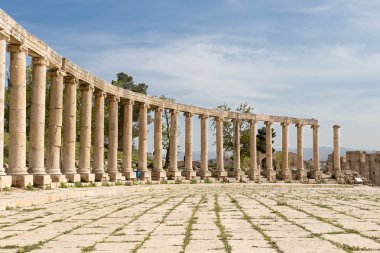 Forum (oval plaza) gerasa (jerash), jordan. Asimetrik bir plaza birinci yüzyılda inşa edilen Sütunlu Cadde başında bir forumdur