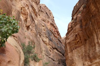 1.2km uzun yol (Siq olarak) şehir Petra'dan, Jordan Jordan yanı sıra Jordan sembolü--bu en çok ziyaret edilen turistik. Petra UNESCO Dünya Miras Listesi 1985 yılından beri bulunmaktadır