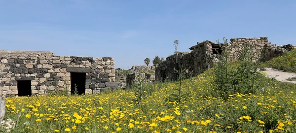 Roman ruins at Umm Qais (Umm Qays) --is a town in northern Jordan near the site of the ancient town of Gadara. Umm Qais is one of Jordan's most unique Greco Roman Decapolis sites — Stock Photo, Image