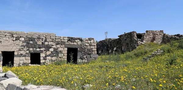 Ruinas romanas en Umm Qais (Umm Qays) es una ciudad en el norte de Jordania, cerca del sitio de la antigua ciudad de Gadara. Umm Qais es uno de los sitios de Decápolis romana más singulares de Jordania —  Fotos de Stock