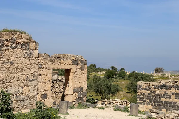 Römische Ruinen in umm qais (umm qays) --ist eine Stadt im Norden Jordaniens in der Nähe der antiken Stadt Gadara. umm qais ist eine der einzigartigsten griechischrömischen decapolis-Stätten in Jordanien — Stockfoto