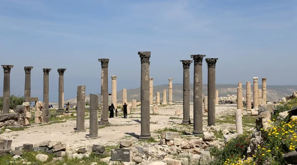 ローマ コリント式の柱で um Qais (um Qays)-北部 Jordan ゲラサの古代町の現場近くにある町です。ウム カイスは Jordan の最もユニークな Greco ローマ デカポリス サイトの一つ — ストック写真