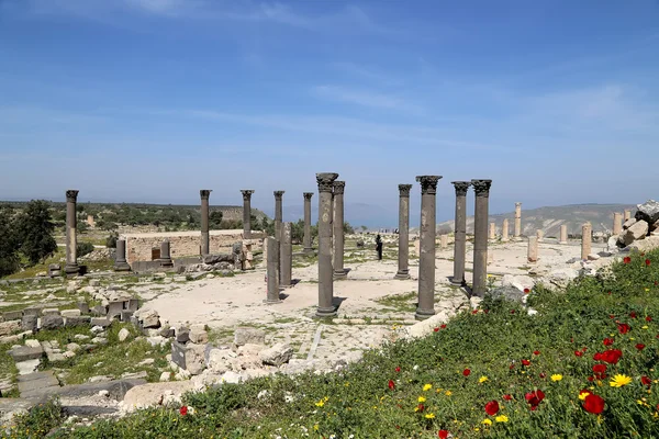 Columnas corintias romanas en Umm Qais (Umm Qays) es una ciudad en el norte de Jordania, cerca del sitio de la antigua ciudad de Gadara. Umm Qais es uno de los sitios de Decápolis romana más singulares de Jordania — Foto de Stock