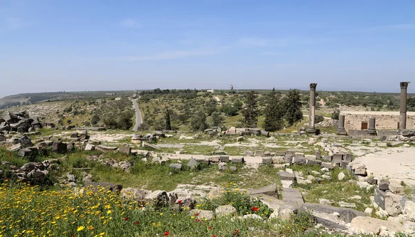 Romeinse Corinthische zuilen in Umm Qais (Umm Qhays)--is een plaats (town) in de noordelijke Jordan in de buurt van de site van de oude stad van Gadara. Umm is Qais een van de meest unieke Greco Romeinse Decapolis Jordan van sites — Stockfoto