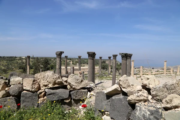 Roman Corinthian columns in Umm Qais (Umm Qays) --is a town in northern Jordan near the site of the ancient town of Gadara. Umm Qais is one of Jordan's most unique Greco Roman Decapolis sites — Stock Photo, Image