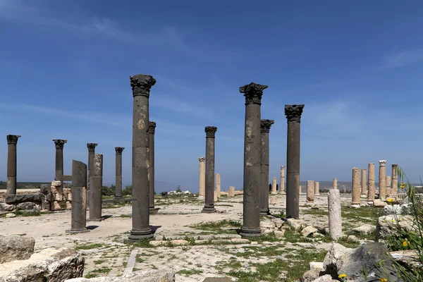 在罗马的科林斯式石柱 um 伊斯 (um Qays) — — 是在北部 Jordan Gadara 古代镇附近的一个市镇。嗯伊斯是 Jordan 的最独特的希腊罗马波利景点之一 — 图库照片