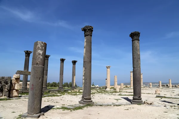 Romerska korintiska kolonner i Umm Qais (Umm Qays)--är en stad i norra Jordan nära platsen för den antika staden Gadara. Umm är Qais en av Jordans mest unika Greco romerska Decapolis platser — Stockfoto